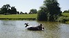 0623_roseene_03