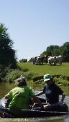 0623_roseene_08