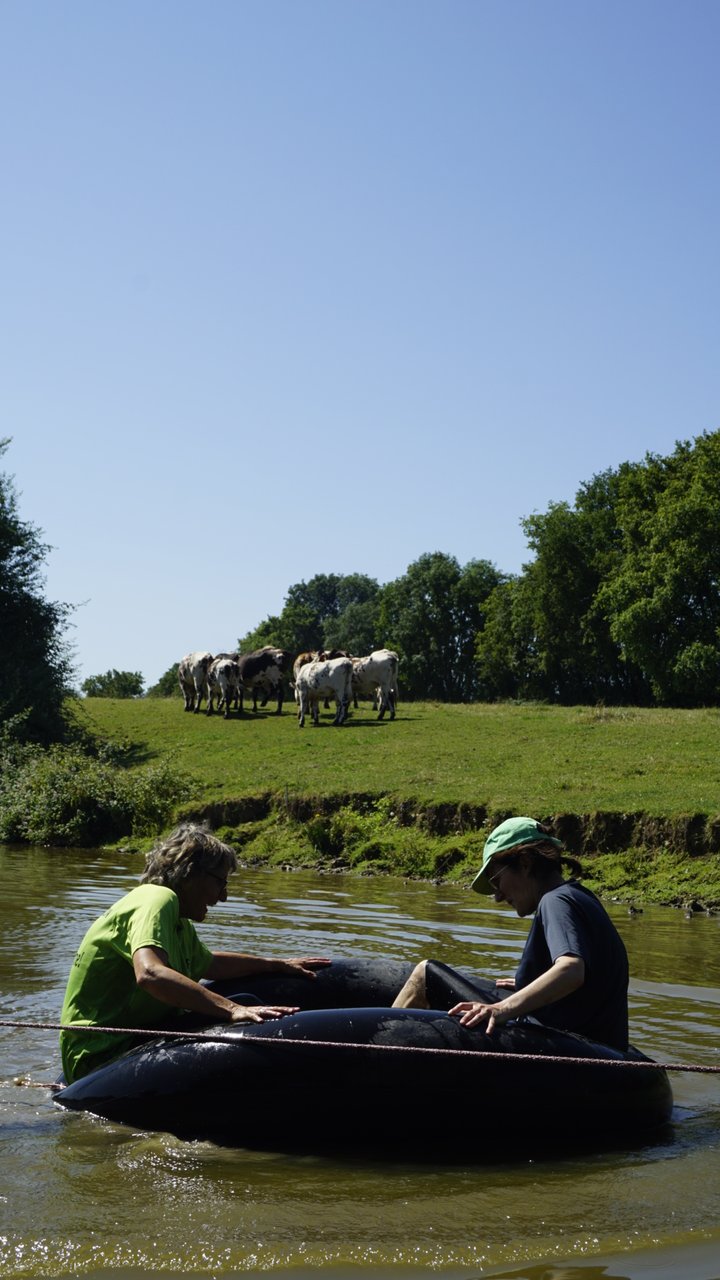 0623_roseene_09
